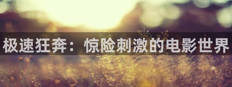 新闻图片