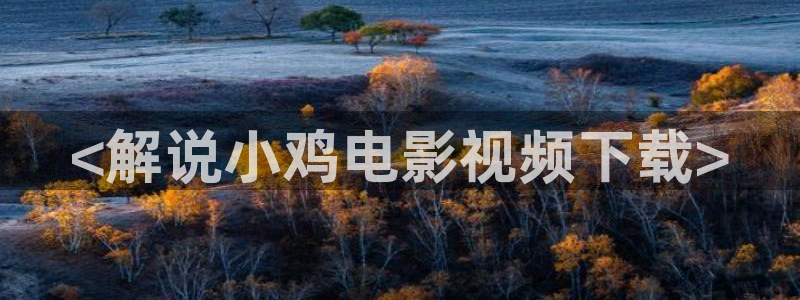 成人午夜影院在线播放