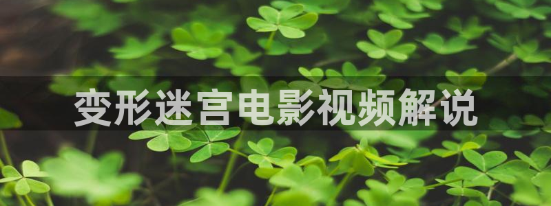 三年午夜影院