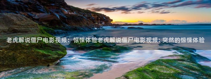 理论片午夜电影在线播放