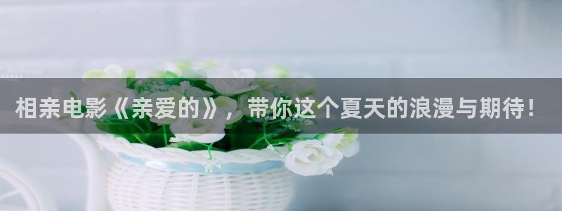 午夜窥视秀电影