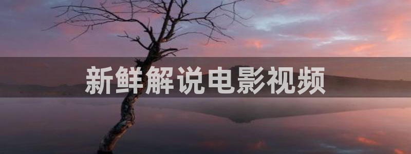 八戒午夜影视