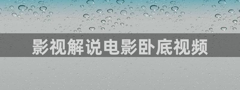 神马午夜电影一区二区三区在线观看