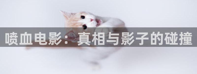 668看片网第二窝窝午夜影院