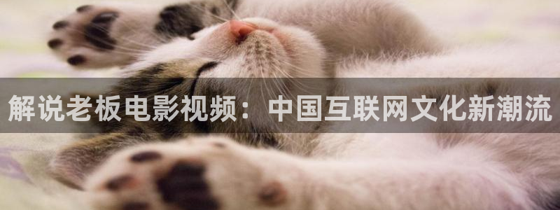 秋霞影院午夜剧场
