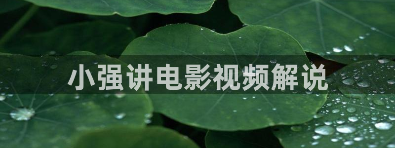神马影院午夜手机