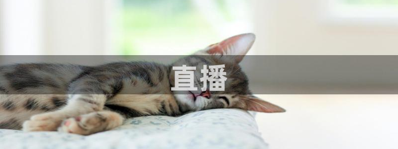 国产午夜伦理