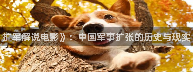 色婷婷午夜在线