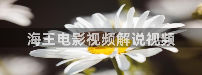 午夜毛毛片