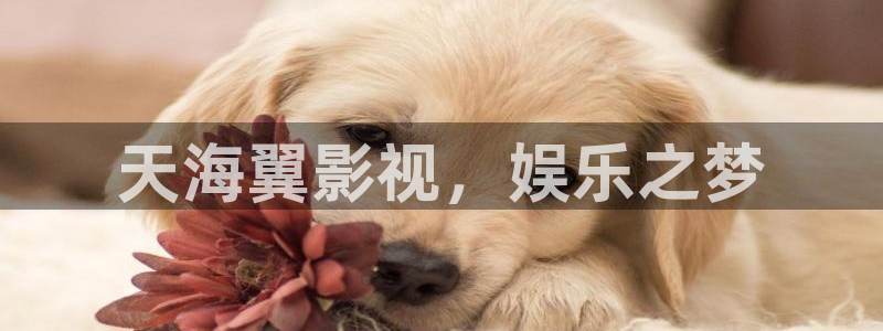 午夜大片黄