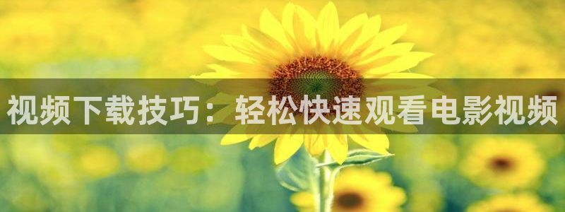 神马影院达达兔午夜影院