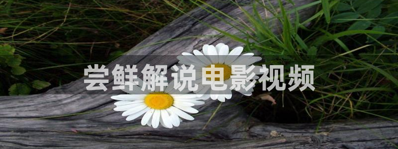 黄色午夜影视