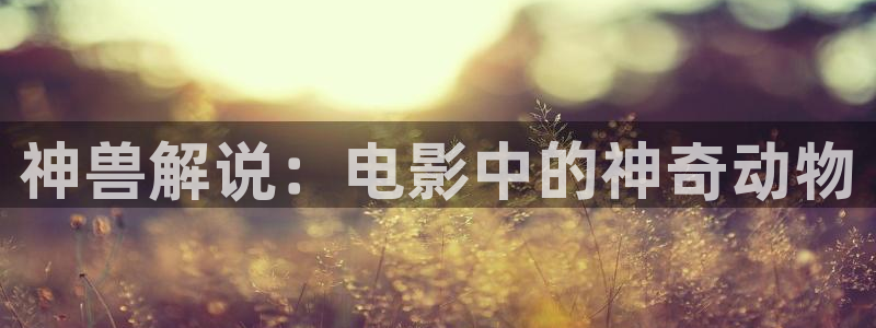 午夜影院在线影院
