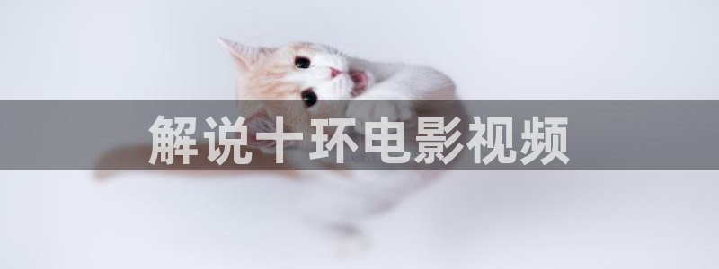 午夜电影院www