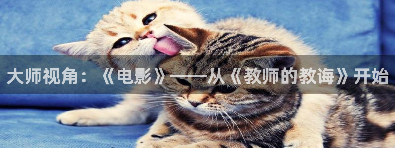 午夜2021电影简介