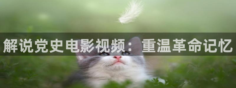 窝窝午夜看片无遮挡