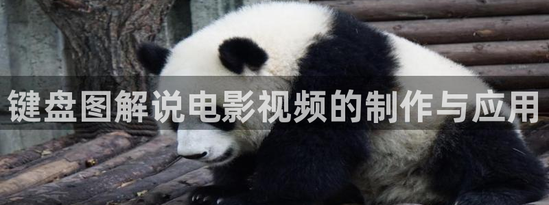 达达兔第九神马午夜影院