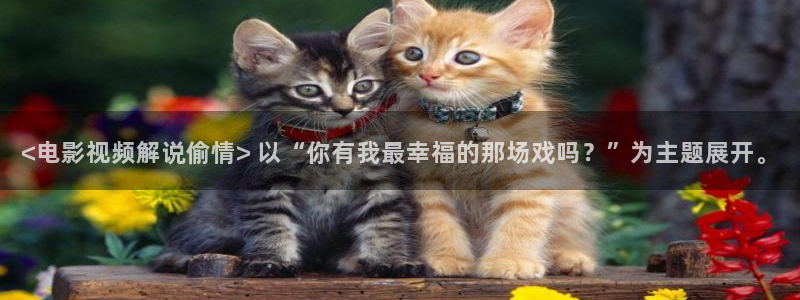 电影通午夜电影