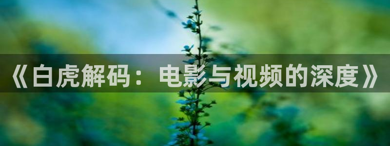 92午夜看看影院
