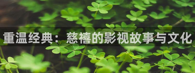 免费看午夜大片的app