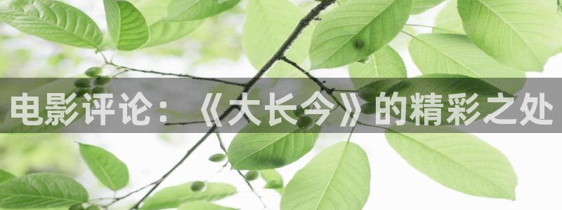 午夜精品免费在线
